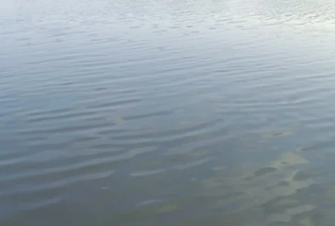 Water 動画素材 830016