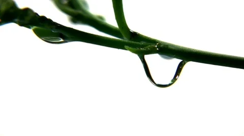 Water Stock-Footage 7902481