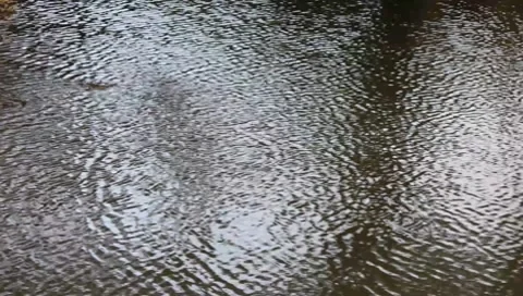 Water Stock-Footage 8689997