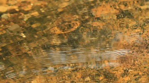 Water  Video stock 11181768