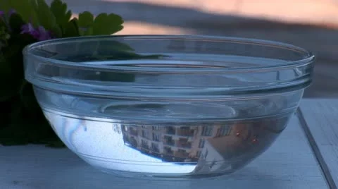 Water Stock Footage 11316121