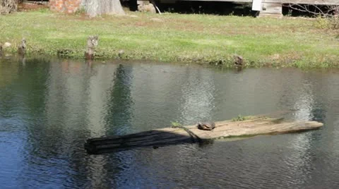 Water Stock Footage 12167095