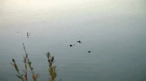 Water Stock Footage 21252390