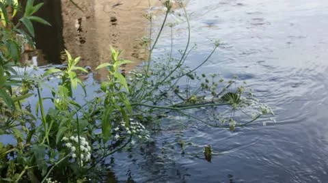 Water 動画素材 22084870