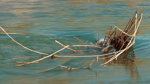 Water Stock Footage 22984685