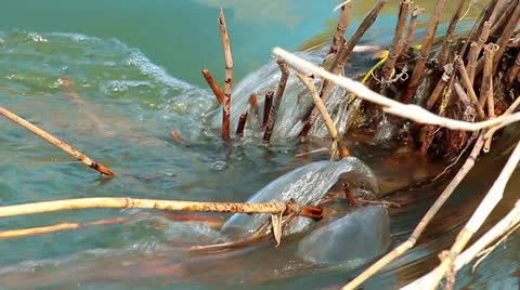 Water Stock Footage 22986265
