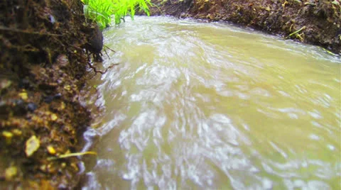 Water Stock-Footage 25592134