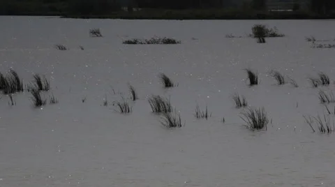 Water 스톡 동영상 49163536