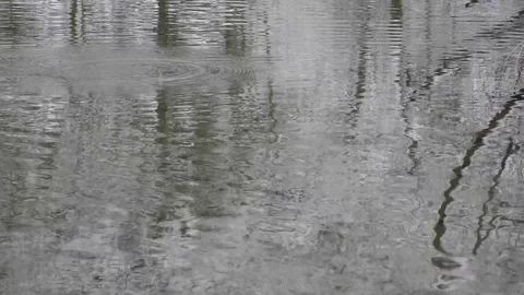 Water Stock Footage 82573481