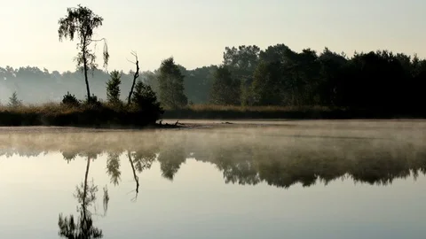 At the Water Stock Footage 95822005