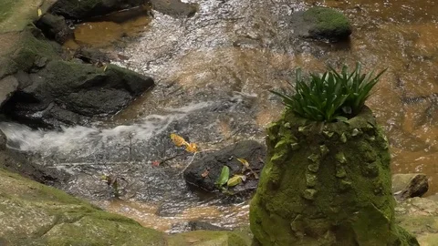 Water Stock Footage 112616481