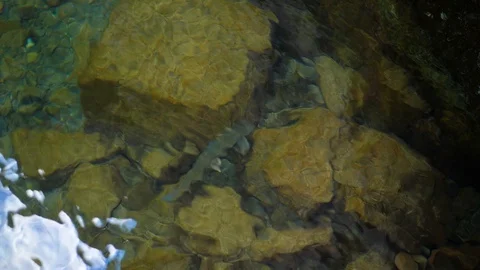 Water Video stock 114824265