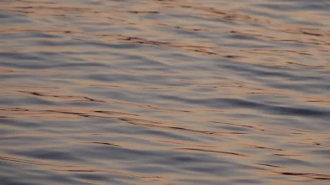 Water Stock Footage 119682200