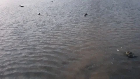 Water Stock Footage 121685893