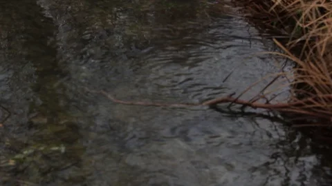 Water 스톡 동영상 123100508