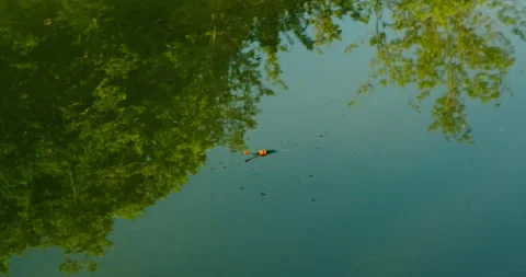 Water Stock Footage 132340926