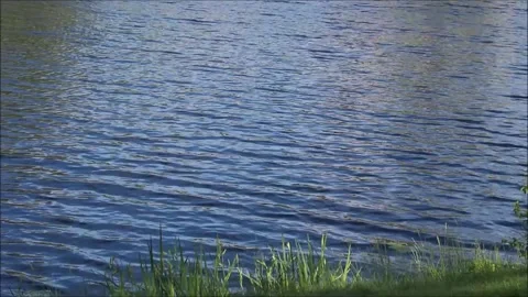 Water Stock Footage 132690159