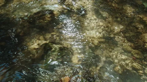 Water Stock Footage 134424194