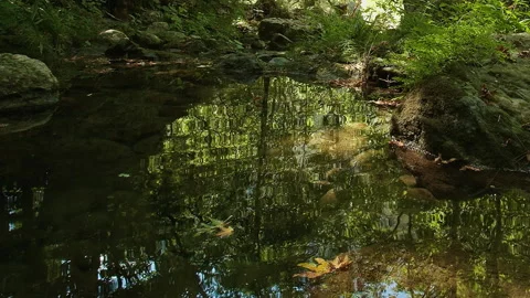 Water Stock Footage 135358856