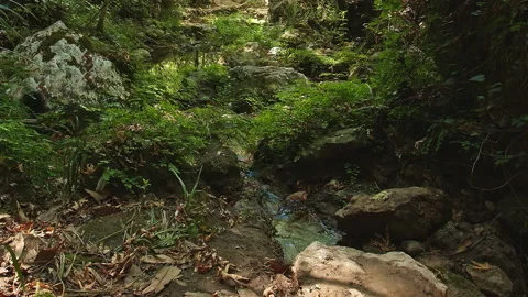 Water Stock Footage 135361382