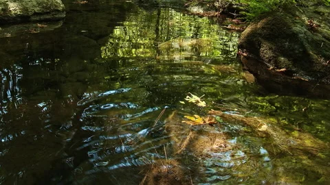 Water Stock Footage 135363859