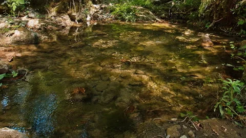 Water Stock Footage 135366275