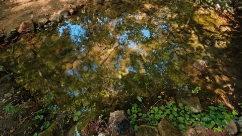 Water Stock Footage 135448980