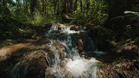 Water Stock Footage 135548869