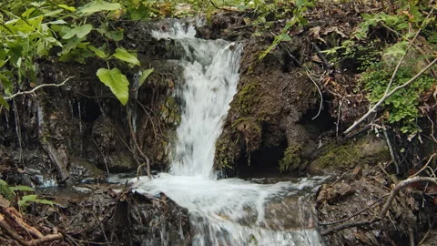 Water Stock Footage 136202841