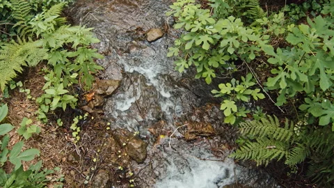 Water Stock Footage 136204707