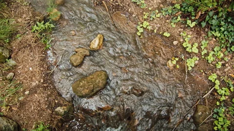 Water Видео 136206865
