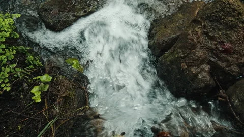 Water Stock Footage 136279118