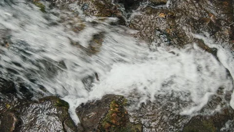 Water Stock Footage 136337575