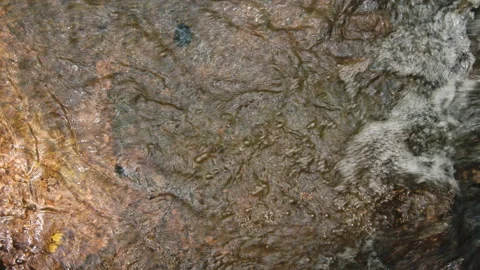 Water Видео 136341314