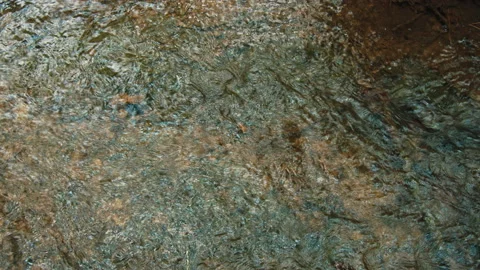 Water Stock Footage 136372415