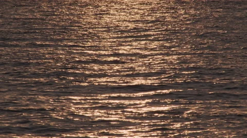 Water Stock Footage 144502954