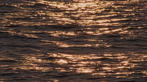 Water Stock Footage 144505254