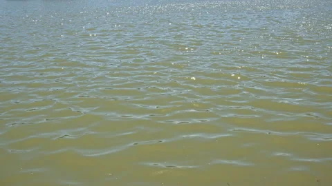 Water Stock Footage 146055455