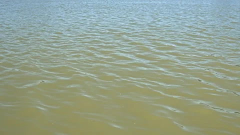 Water Stock Footage 146059001