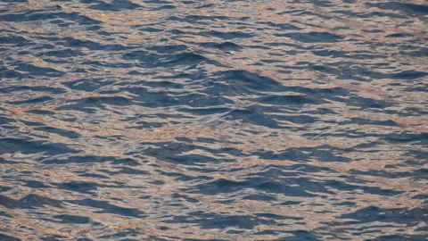 Water Stock Footage 153026272