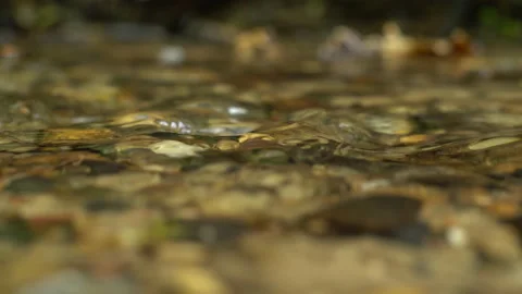 Water Stock Footage 153806269