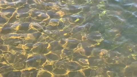 Water Stock Footage 154511997