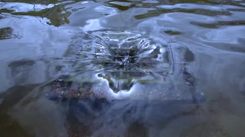 Water Stock Footage 154532281