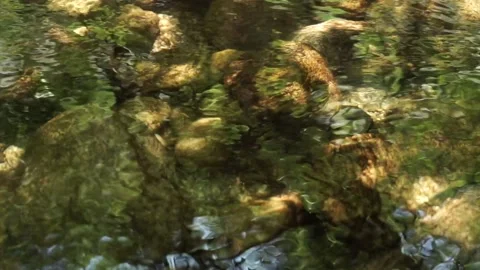 Water. Stock Footage 158020427