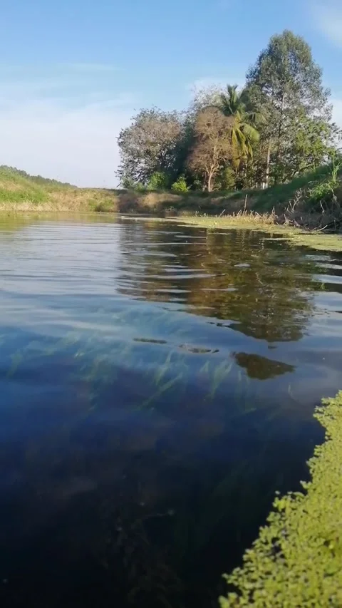 Water​ Stock Footage 167810536