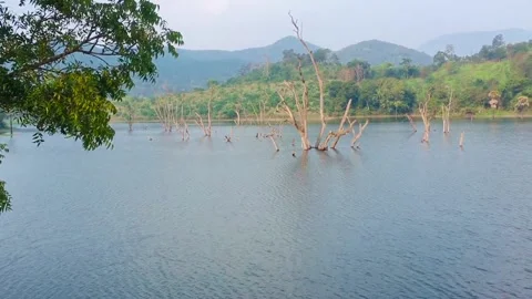 Water Stock Footage 168060179