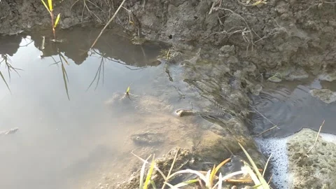 Water Stock Footage 209526415