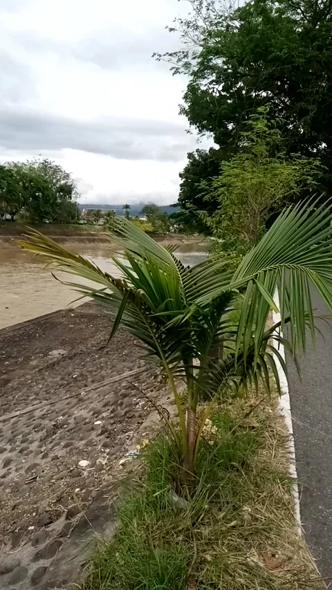 Water Stock Footage 222023755