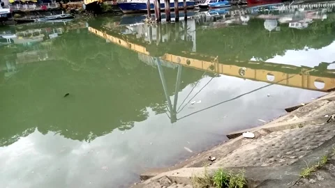 Water Stock Footage 223280705