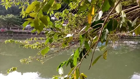 Water Stock Footage 223281294